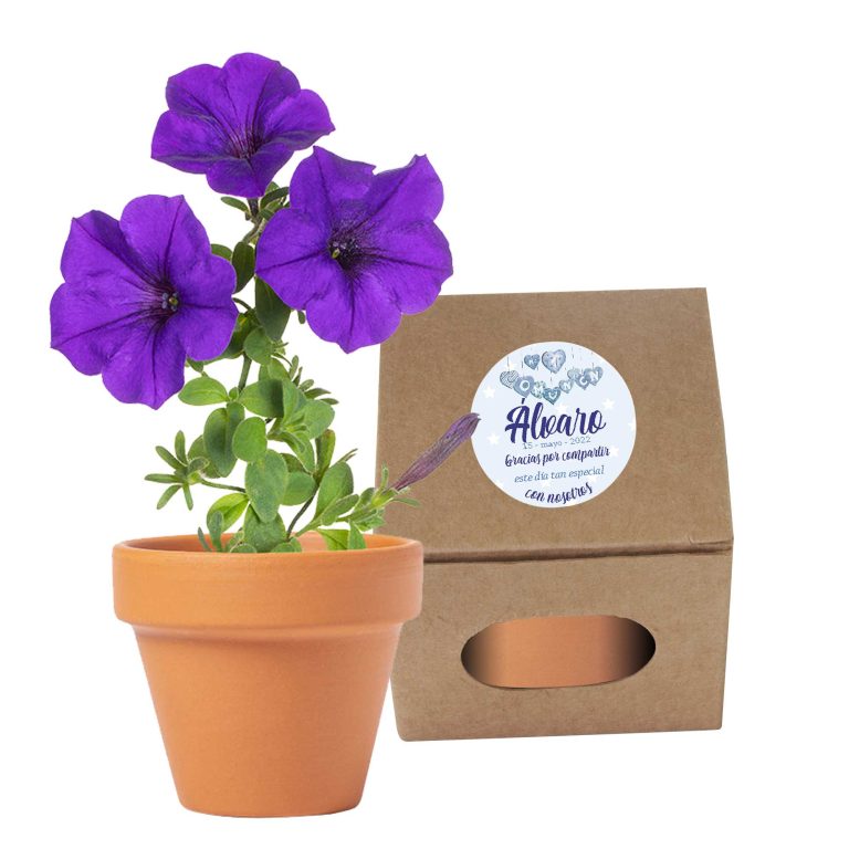 Maceta con Semillas Terracota 695025