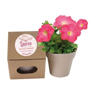 Maceta con Semillas 695014